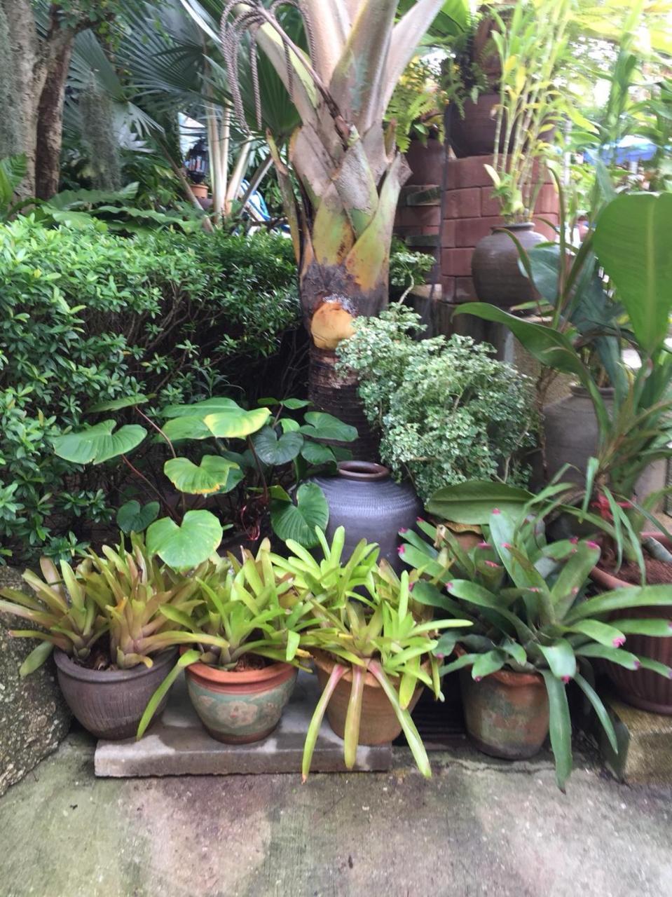 Baan Vanida Garden Resort Karon Exterior photo